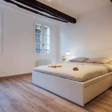 Apartament L'authentic, Charme Dans La Vieille Avec Climatisation Nicea